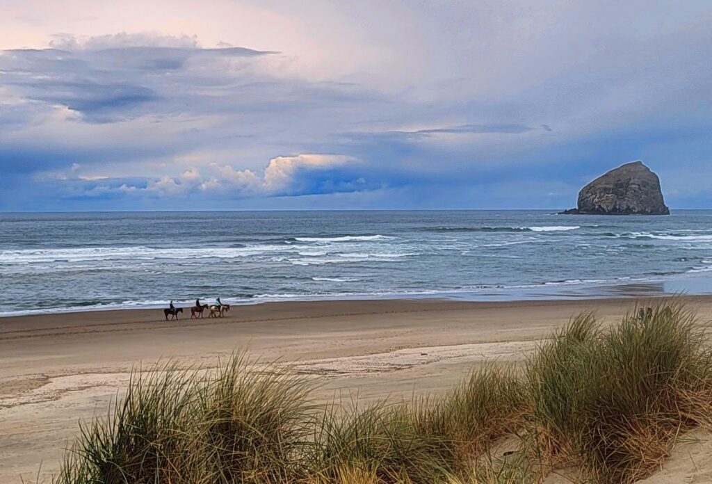Views from Bob Straub State Park in Cannon Beach, Oregon.