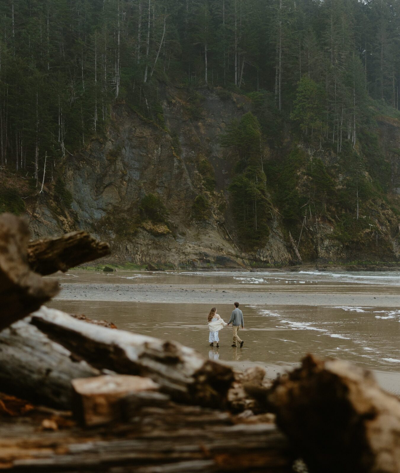 Short sand beach at Oswald west state park