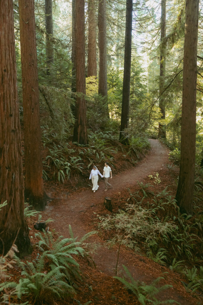 Engaged couple shares a moment in Oregon at Hoyt Arboretum
