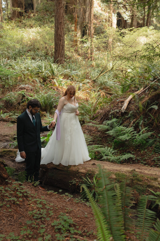Elopement couple walking along a fallen Redwood 