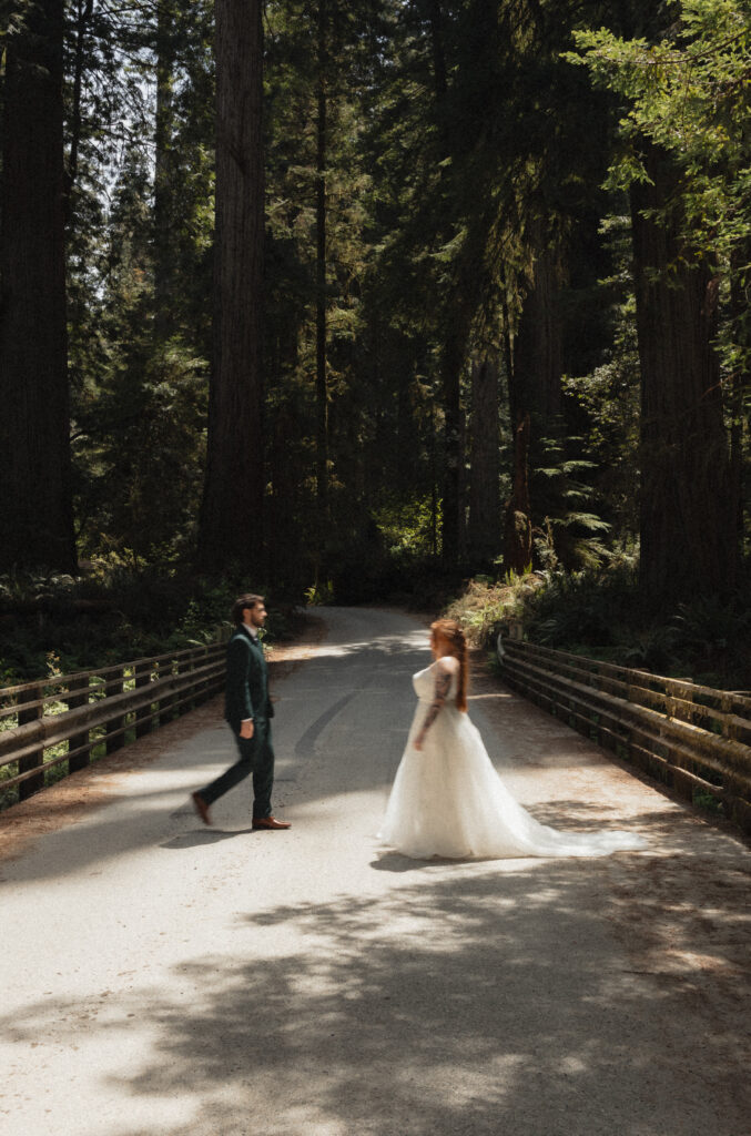 Elopement couple walking in the Jedidiah Redwoods State Park