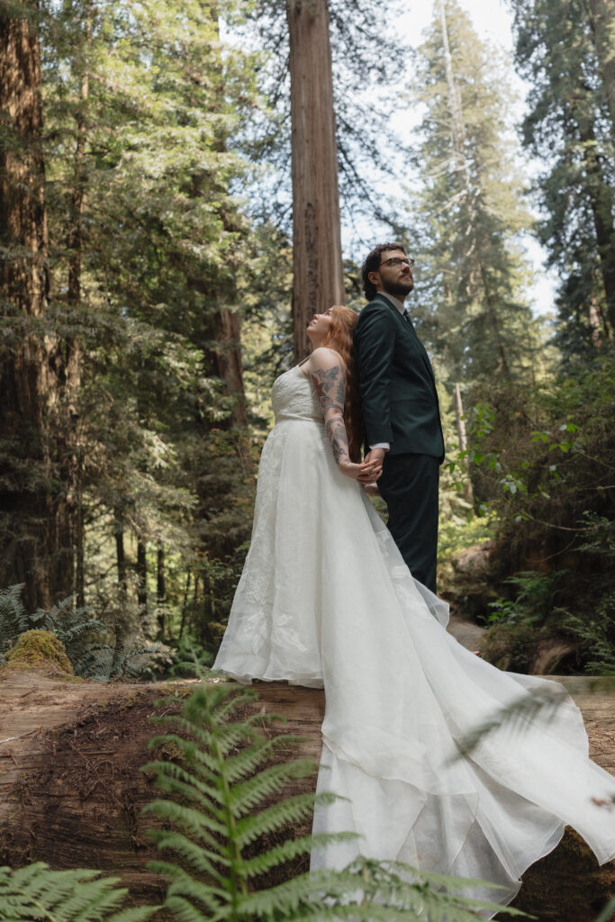 Elopement couple in the Redwoods