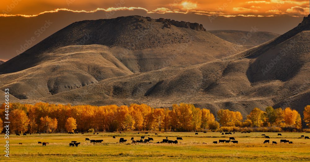 Stunning views of the Salmon-Challis national forest in Idaho