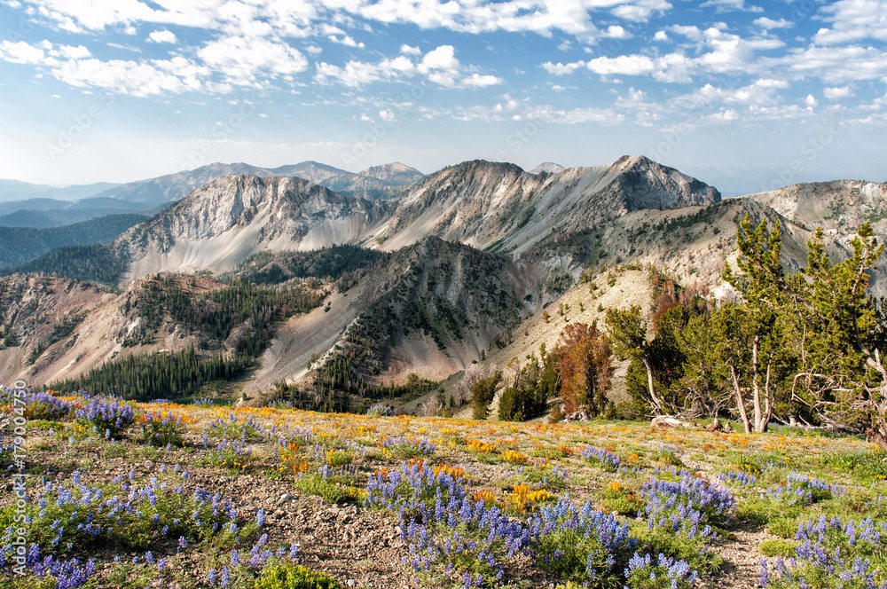 Elopement views from the Smoky Mountains in Idaho
